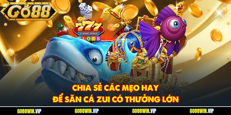 Chia sẻ các mẹo hay để săn cá Zui có thưởng lớn