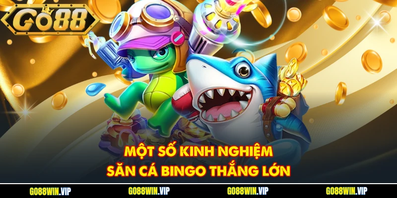 Một số kinh nghiệm săn cá Bingo thắng lớn